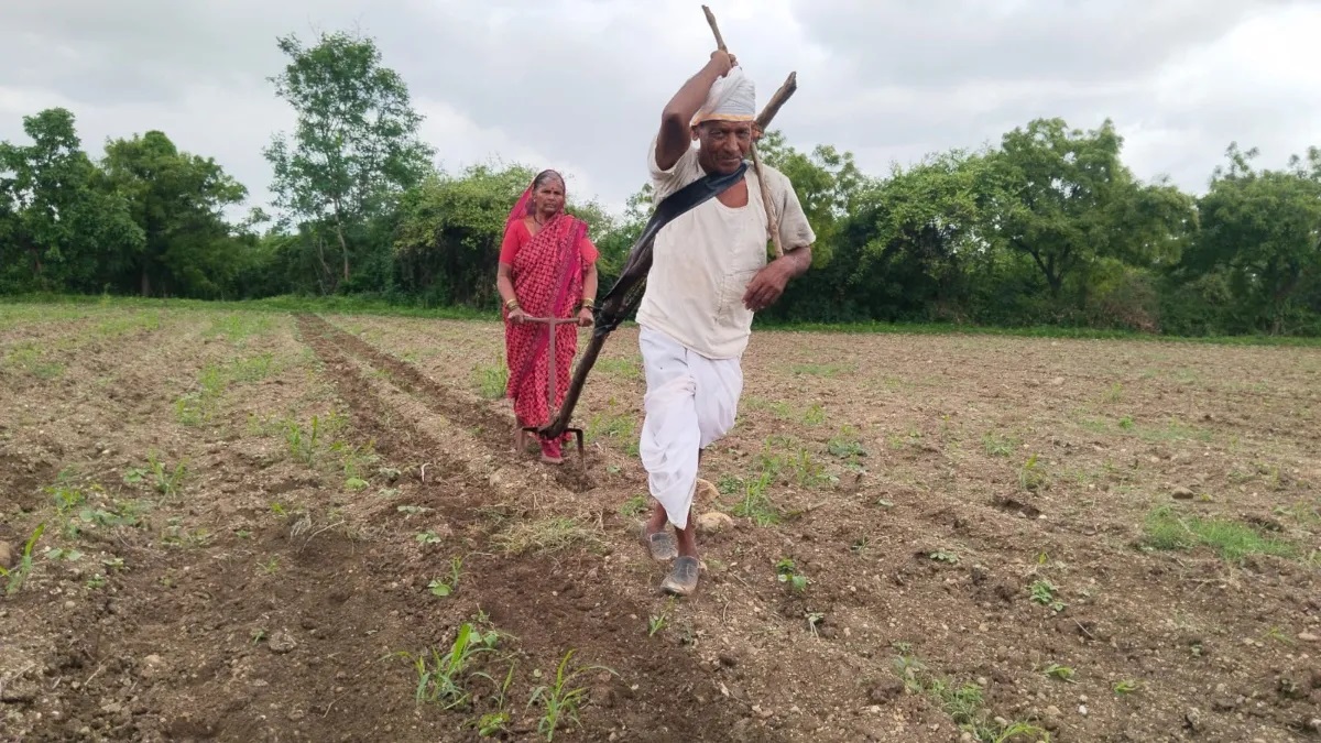 Maharashtra’s elderly couple plough field themselves with no money for cattle, video sparks outrage