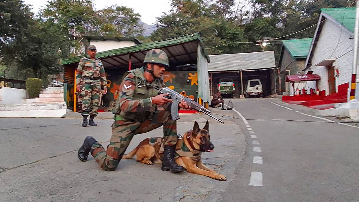 BSF to train Indian dog breeds for border duty following PM Modi’s appeal in Mann Ki Baat