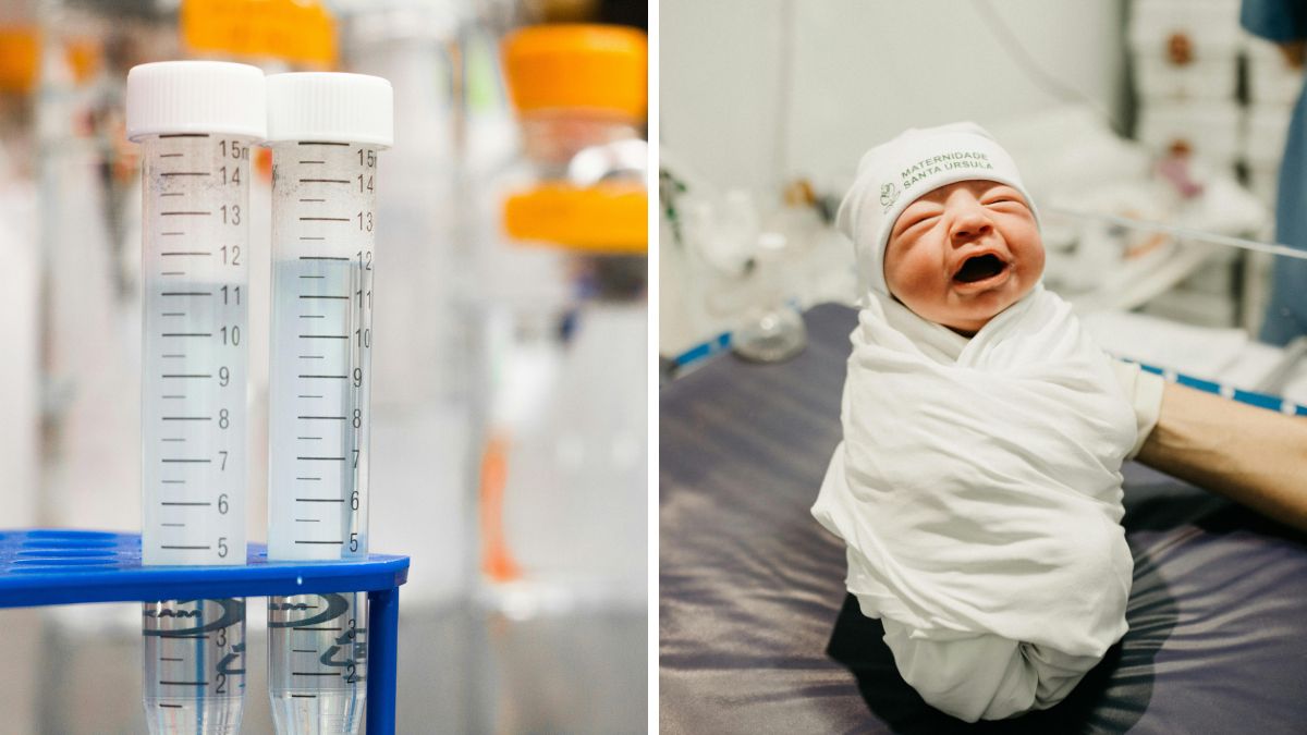 Can skin cells really become human eggs? The big fertility breakthrough explained