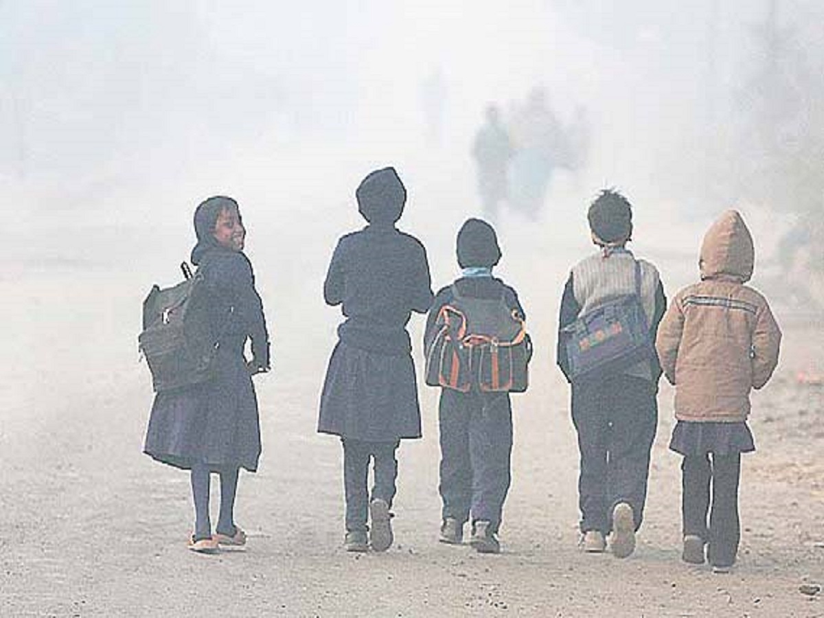 Cold wave update: IMD issues yellow alert for dense fog in five districts of Jharkhand