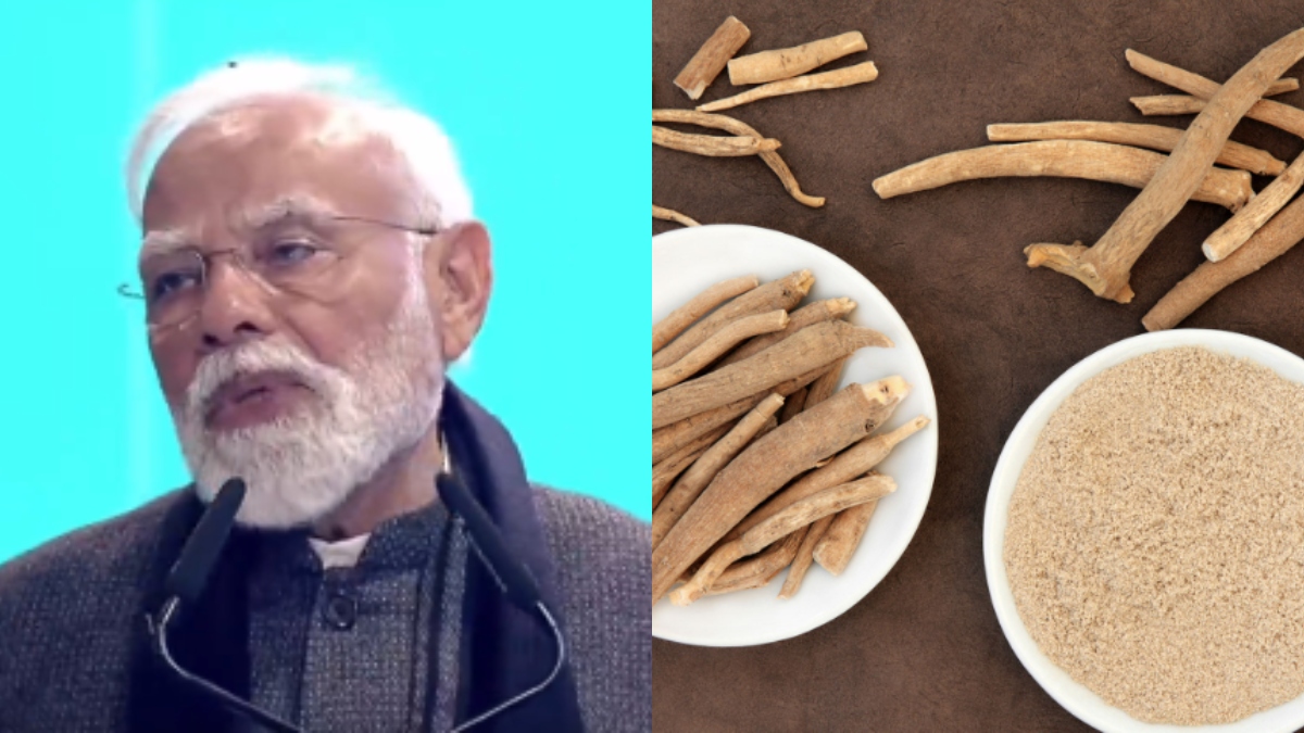 Ayush mark, Yoga to digital portals: PM Modi’s big announcements at WHO Global Summit on Traditional Medicine