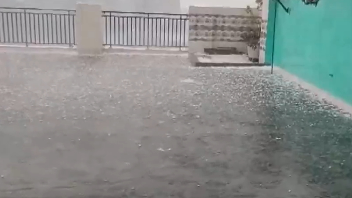 Rain, hailstorms hit parts of Delhi-NCR; IMD forecasts more showers | Watch
