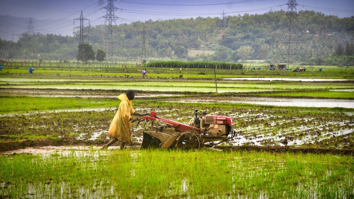 Maharashtra approves loan waiver, to benefit 56 lakh farmers – What are the conditions for loan waiver?