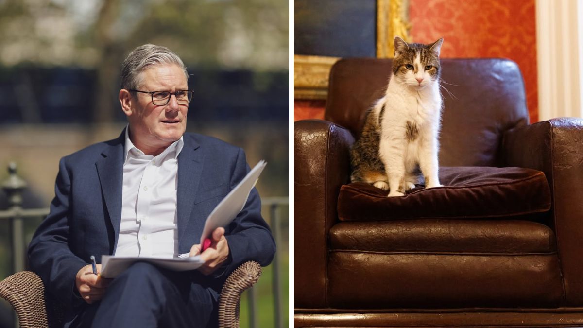 Meet Larry the Cat: As UK Prime Minister Keir Starmer exits, one famous Downing Street resident remains