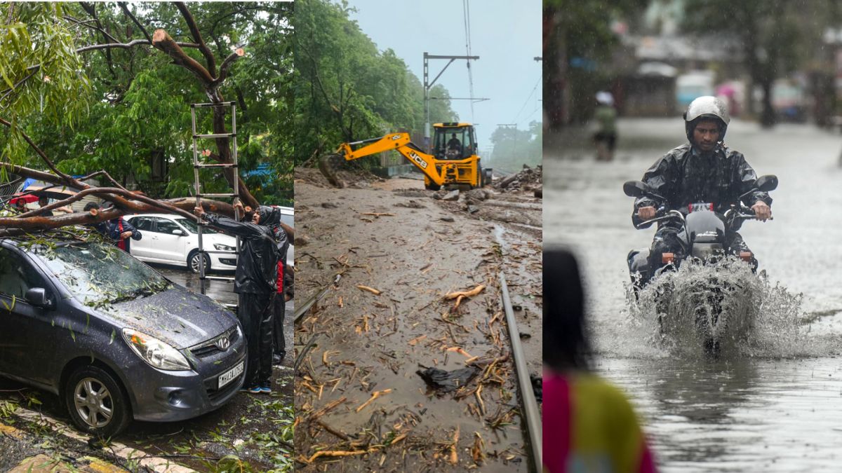 Mumbai battles floods, fallen trees and traffic due to heavy rain; schools to remain shut amid alert