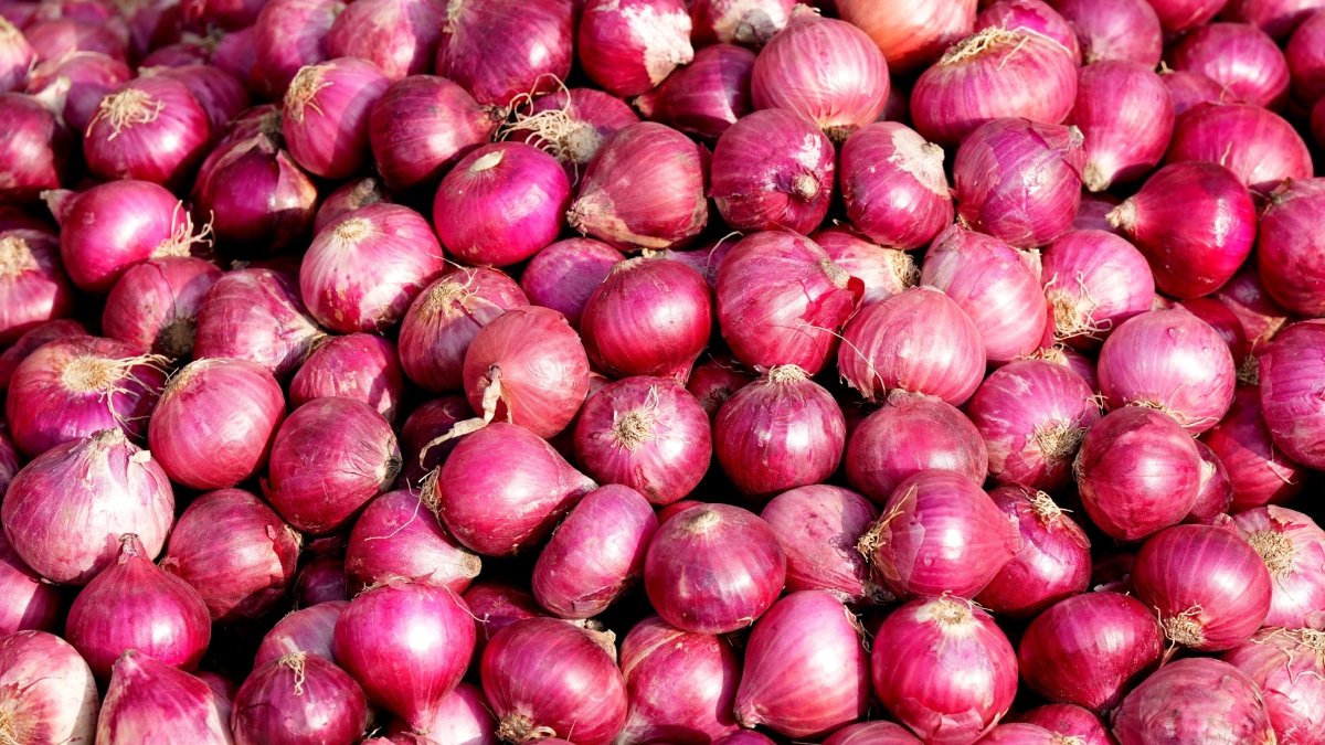Onion prices surge 59%, Centre ramps up ‘Kanda Express’ supplies to major market to cool rates