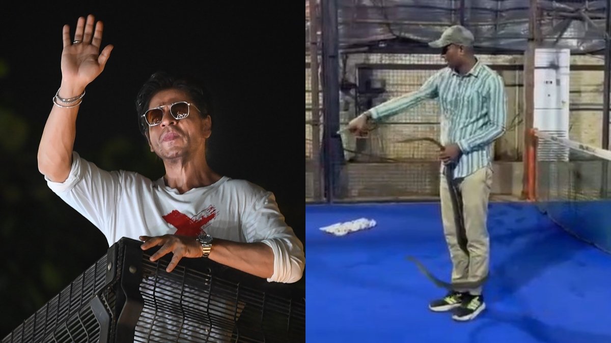 Shah Rukh Khan’s Mannat gets a snake scare; 8-foot non-venomous reptile rescued from garden